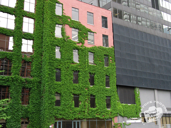 green architecture, architecture, building, plants, photo, free photo, stock photos, royalty-free image