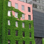 green architecture, architecture, building, plants, photo, free photo, stock photos, royalty-free image