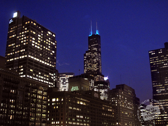 Chicago skyline, Willis Tower, Sears Tower, night view, skyscraper, architecture, building, photo, free photo, stock photos, royalty-free image