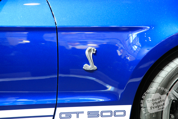 Ford Shelby GT500 logo, Ford sports car, Chicago Auto Show, stock photos, free images, royalty free pictures
