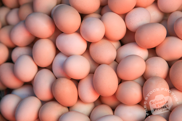 chicken eggs, brown eggs, organic eggs, poultry product, free stock photo, picture, free images download, stock photography, royalty-free image