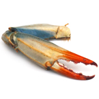 blue crab, crab, claw, crab's claw, crab claw, crab photo, fish, seafood, animal, photo, free photo, stock photos, royalty-free image