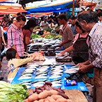 fish market, fish vendors, fish stall, seafood market, free stock photo, picture, free images download, stock photography, royalty-free image