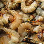shrimp, shrimps, shrimp photo, fish, seafood, animal, photo, free photo, stock photos, royalty-free image