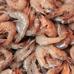 shrimps, prawns, crustacean, seafood, free stock photo, picture, free images download, stock photography, royalty-free image