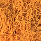 noodle, dried noodle, egg noodle, food photo, free stock photo, picture, free images download, stock photography, royalty-free image