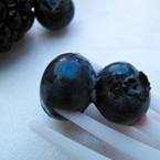 blueberry, berry photos, fruit photo, free stock photo, free picture, free image download, stock photography, stock images, royalty-free image