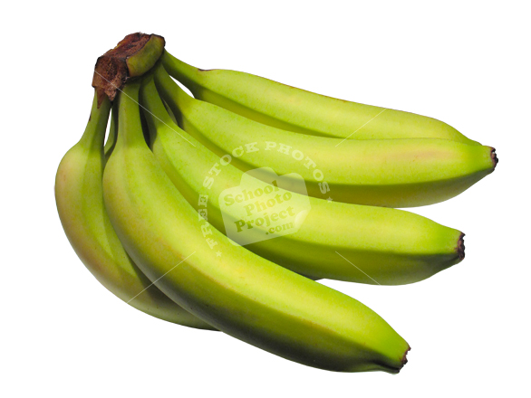 banana, fresh banana, green banana, banana photo, fruit photo, photo, stock photos, stock images, royalty-free image