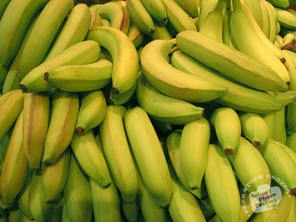 green banana, banana photo, banana picture, fruit photo, free photo, free images, stock photos, stock images, royalty-free image
