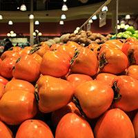 persimmon, hachiya persimmons picture, free photo, royalty-free image