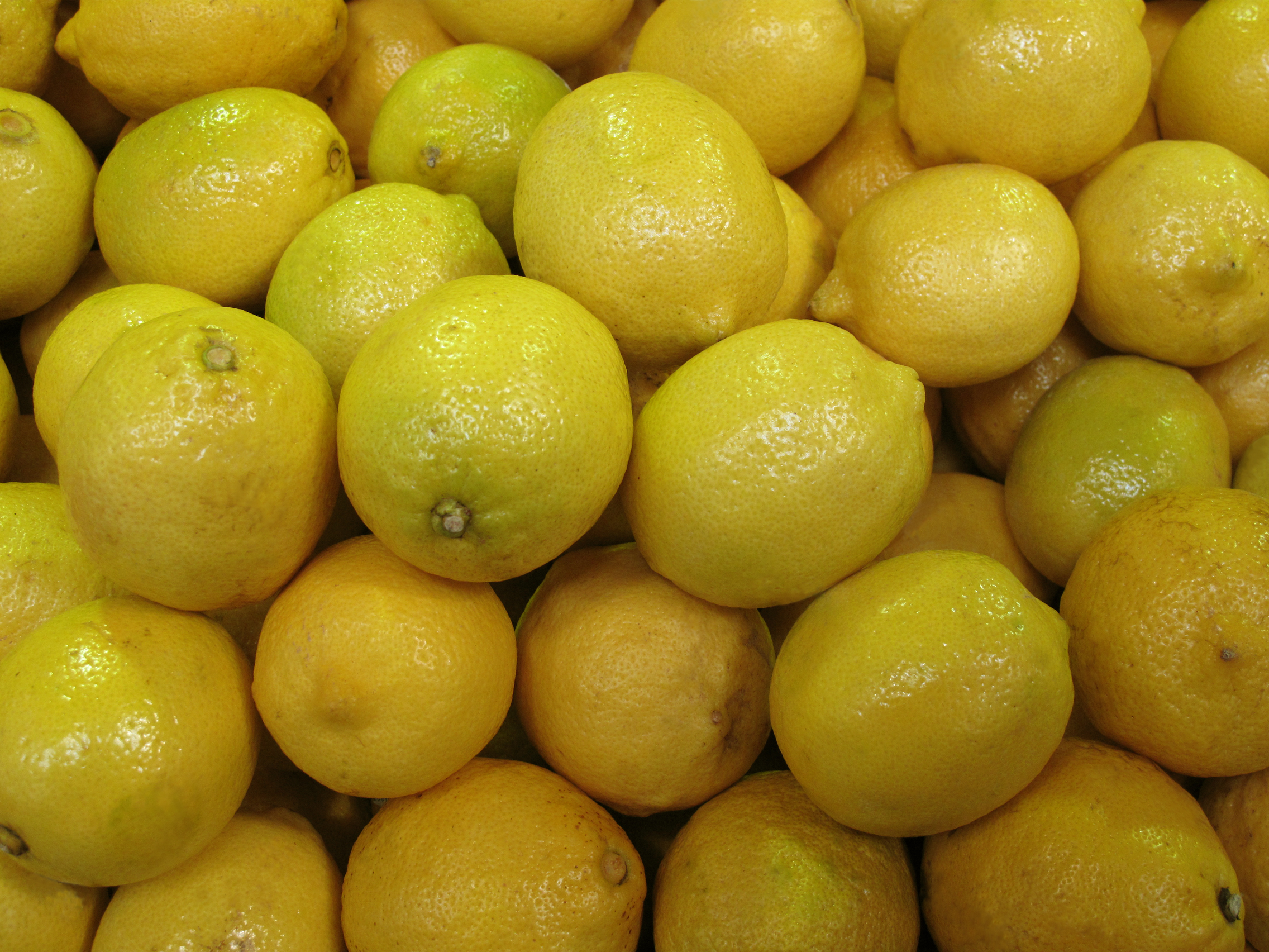 FREE Lemon Photo, Lemon Picture, Fresh Lemons Image, Royalty-Free Fruit ...