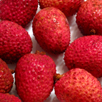 lychee, lychee lychee picture, lychee image, fresh lychee, fresh fruit photo, free stock photo, royalty-free image