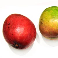 mango, red mangoes picture, free photo, royalty-free image