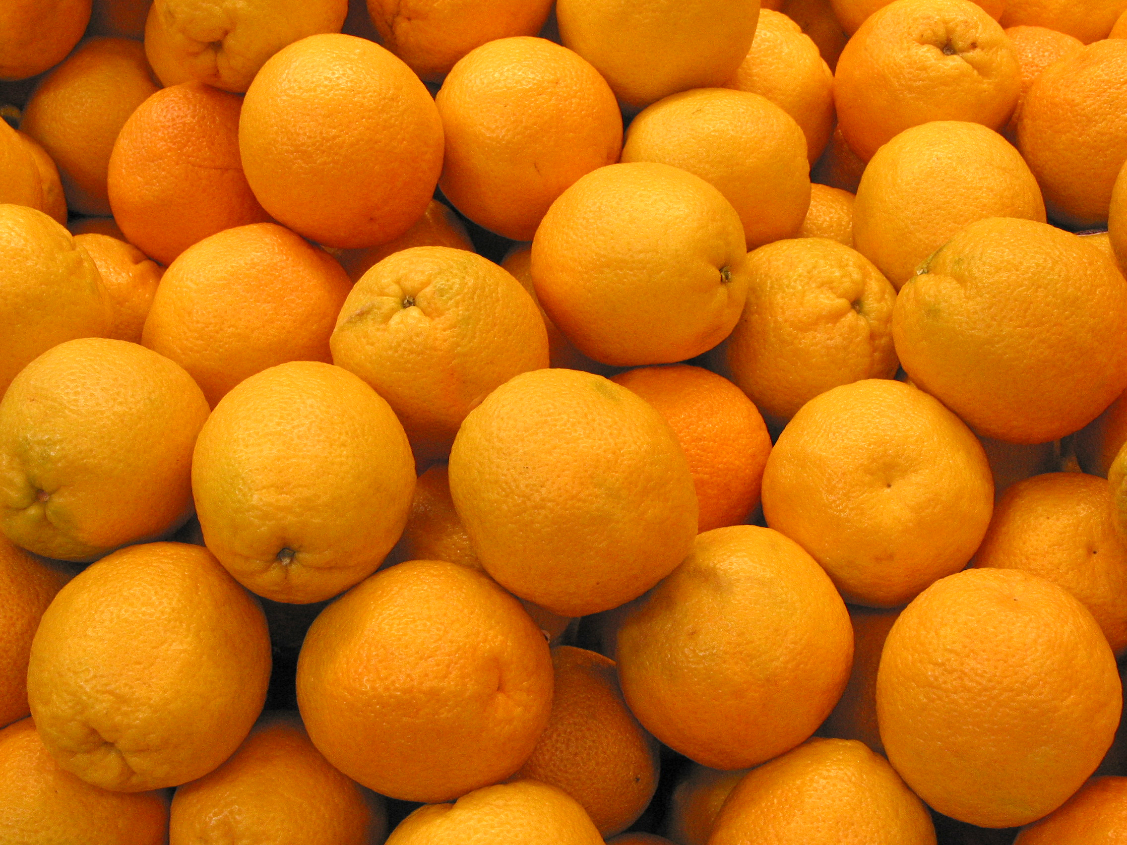 Free Orange Photo Orange Picture Oranges Image Royalty Free Fruit