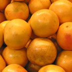 oranges, fresh fruits, fruit photo, free stock photo, royalty-free image