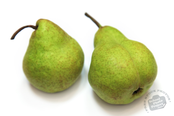 pears, pear photo, picture of pears, fruit photo, free stock photo, free picture, free image download, stock photography, stock images, royalty-free image