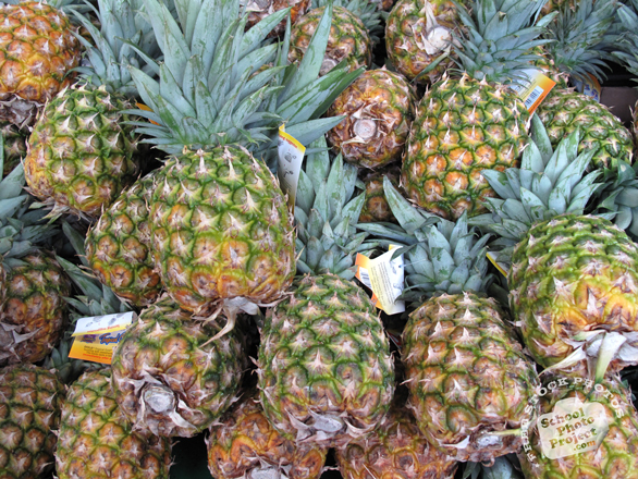 pineapple, pineapple photo, picture of pineapples, fruit photo, free images, stock photos, stock images, royalty-free image