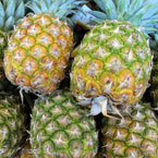 pineapple, fresh fruits, fruit photo, free stock photo, royalty-free image