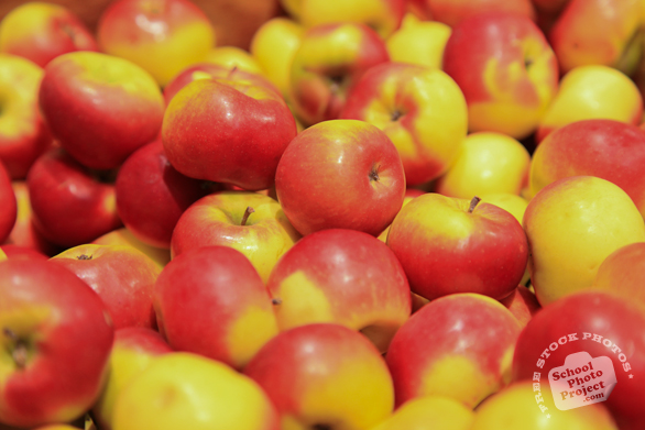 Pink Lady Apples, cripps pink, red apples, apples photo, picture of apples, fruit photo, free stock photo, free picture, free image download, stock photography, stock images, royalty-free image