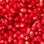 pomegranate seeds, pomegranate photos, fruit photo, free stock photo, free picture, free image download, stock photography, stock images, royalty-free image