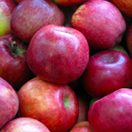 apple, red apple, apple apple picture, apple image, fruits, fresh fruit photo, free stock photo, royalty-free image
