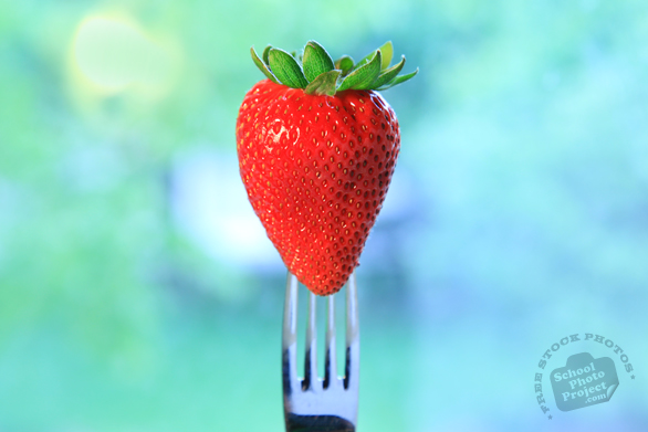 strawberry, strawberry photos, picture of strawberry with fork, fruit photo, utensil fork, free stock photo, free picture, stock photography, stock images, royalty-free image