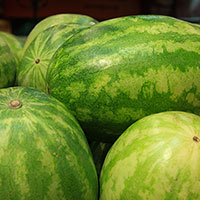 watermelons picture, free photo, royalty-free image