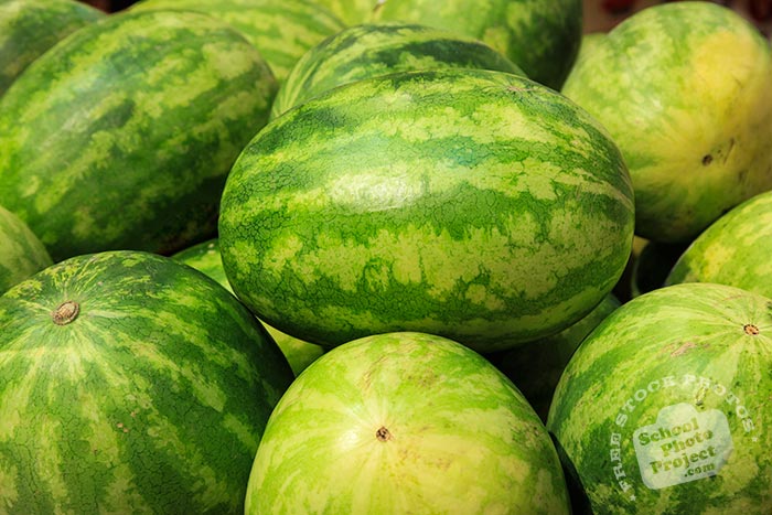 Sweet Favorite watermelons, seedless watermelons, watermelon photo, picture of watermelons, fruit photo, free stock photo, free picture, stock photography, stock images, royalty-free image
