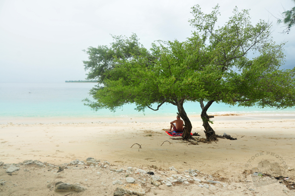 bather, tree, sandy beach, seaside, peaceful, tranquility, serenity, tropical island, panorama, nature photo, free stock photo, free picture, stock photography, royalty-free image
