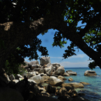 boulders, big rock, stone, tropical tree, water, beach, sea side, nature, photo, free photo, stock photos, stock images for free, royalty-free image, royalty free stock, stock images photos, stock photos free images, download free images, free images download