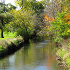 creek, river, bare trees, colorful autumn leaves, fall season foliage, panorama, nature photo, free stock photo, free picture, stock photography, royalty-free image