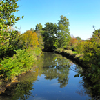 creek, river, bare trees, colorful autumn leaves, fall season foliage, panorama, nature photo, free stock photo, free picture, stock photography, royalty-free image