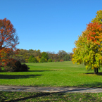 oak, maple, Canada trees, meadow, colorful autumn leaves, fall season foliage, sunny sky, panorama, nature photo, free stock photo, free picture, stock photography, royalty-free image