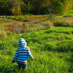 boy walking in meadow, grassy, colorful autumn leaves, fall season foliage, sunny sky, panorama, panoramic, landscape, nature, photo, picture, free images, free photos, stock photography, stock images for free, royalty-free image, royalty free stock photos, download free images