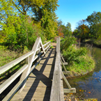 wooden bridge, creek, vegetation, sunny sky, fall season foliage, panorama, nature photo, free stock photo, free picture, stock photography, royalty-free image