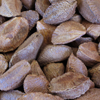 nut, nuts, brazilian nuts, brazilian nut photo, nuts picture, free photo, free download, stock photos, royalty-free image