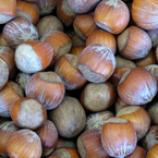 hazelnuts, hazelnut photo, nuts picture, free photo, free download, stock photos, royalty-free image