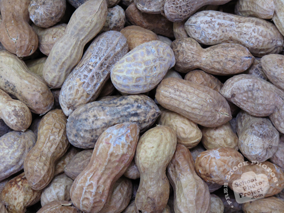 nut, nuts, peanuts, peanut in shell, peanut photo, nuts picture, free photo, free download, stock photos, royalty-free image