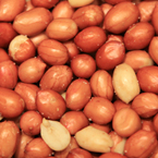 fried salted peanut, Spanish peanuts, peanuts, nuts, free stock photo, free image, royalty-free image