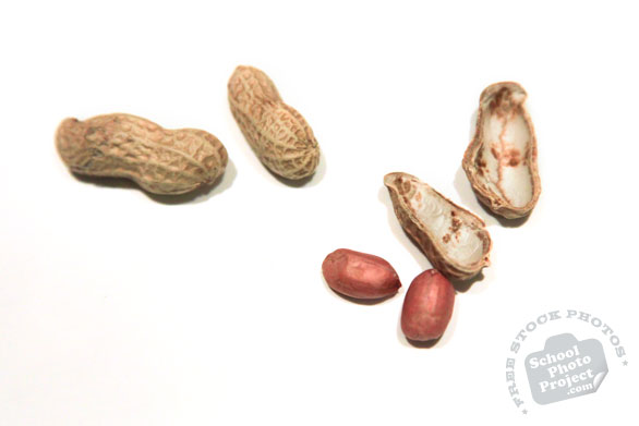 peanuts, peanut shell, nuts, free stock photo, free image, royalty-free image