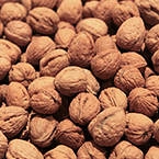 walnut, nuts, free stock photo, free image, royalty-free image