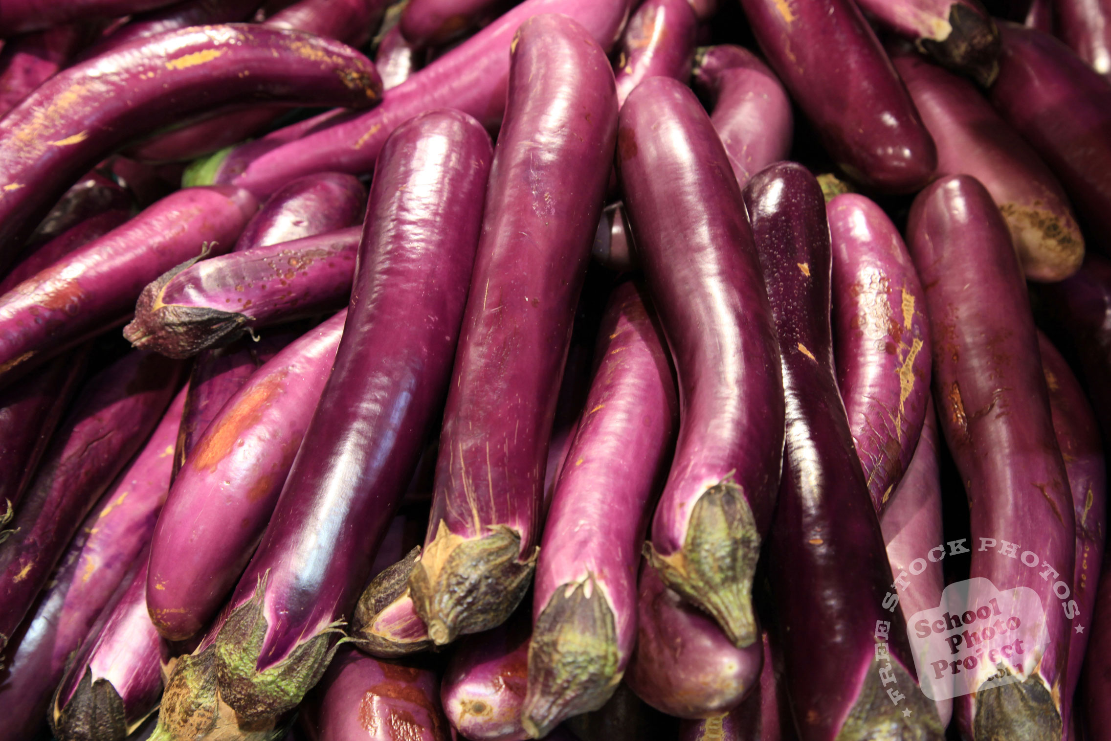 Asian Eggplant, FREE Stock Photo: Long Purple Eggplant, Royalty-Free ...