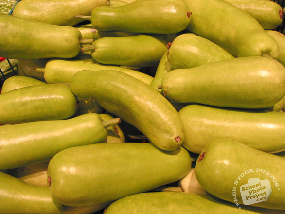 asian squash, squash, vegetable, fresh veggie, vegetable photo, free stock photo, free picture, stock photography, royalty-free image