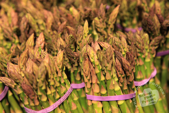 asparagus, vegetable photos, veggie, free stock photo, royalty-free image