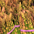 fresh asparagus, vegetable photos, veggie, free stock photo, royalty-free image