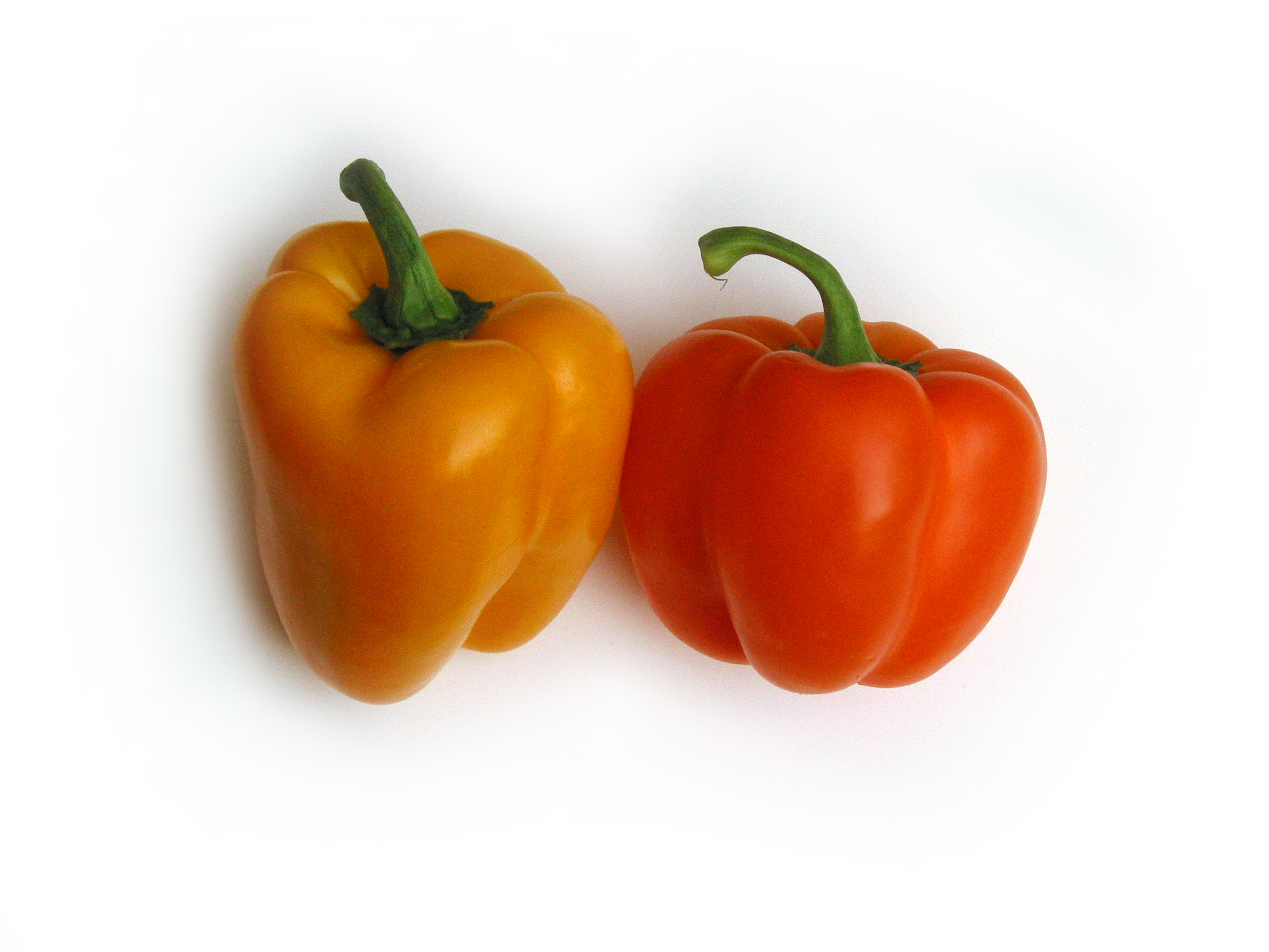 Bell Peppers, FREE Stock Photo, Image, Picture: Yellow Orange Bell ...