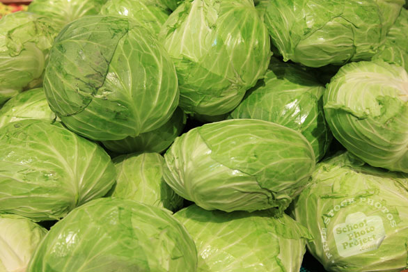 cabbage, green cabbage, vegetable photos, veggie, free stock photo, royalty-free image