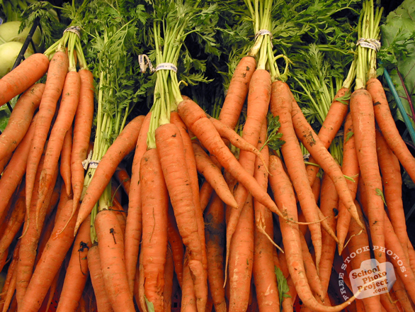 carrot, vegetable, fresh veggie, vegetable photo, free stock photo, free picture, stock photography, royalty-free image