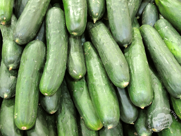 cucumber, cucumber photo, vegetable, fresh veggie, vegetable photo, free stock photo, free picture, stock photography, royalty-free image