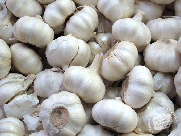 garlic, garlic photo, vegetable, fresh veggie, vegetable photo, free stock photo, free picture, stock photography, royalty-free image
